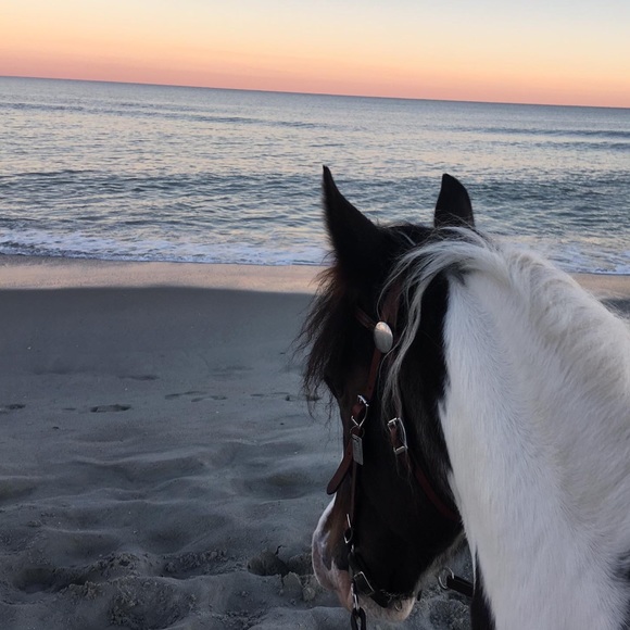 Meet your Posher, Brenda - Picture 4 of 4